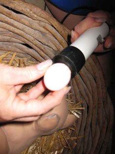 Das Ei wird geschiert