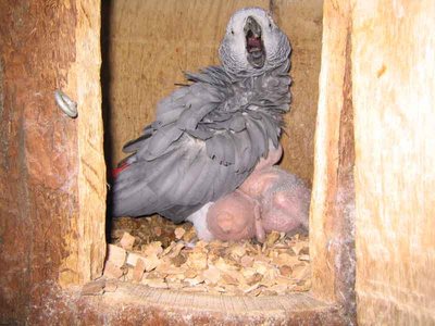 Mutter und Kind im trauten Heim