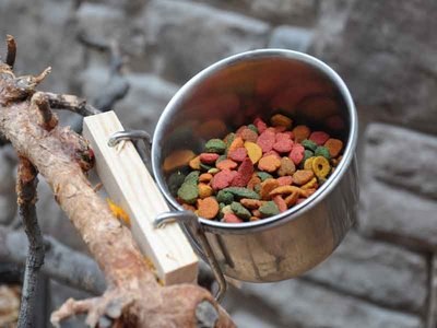 Pelletfutter